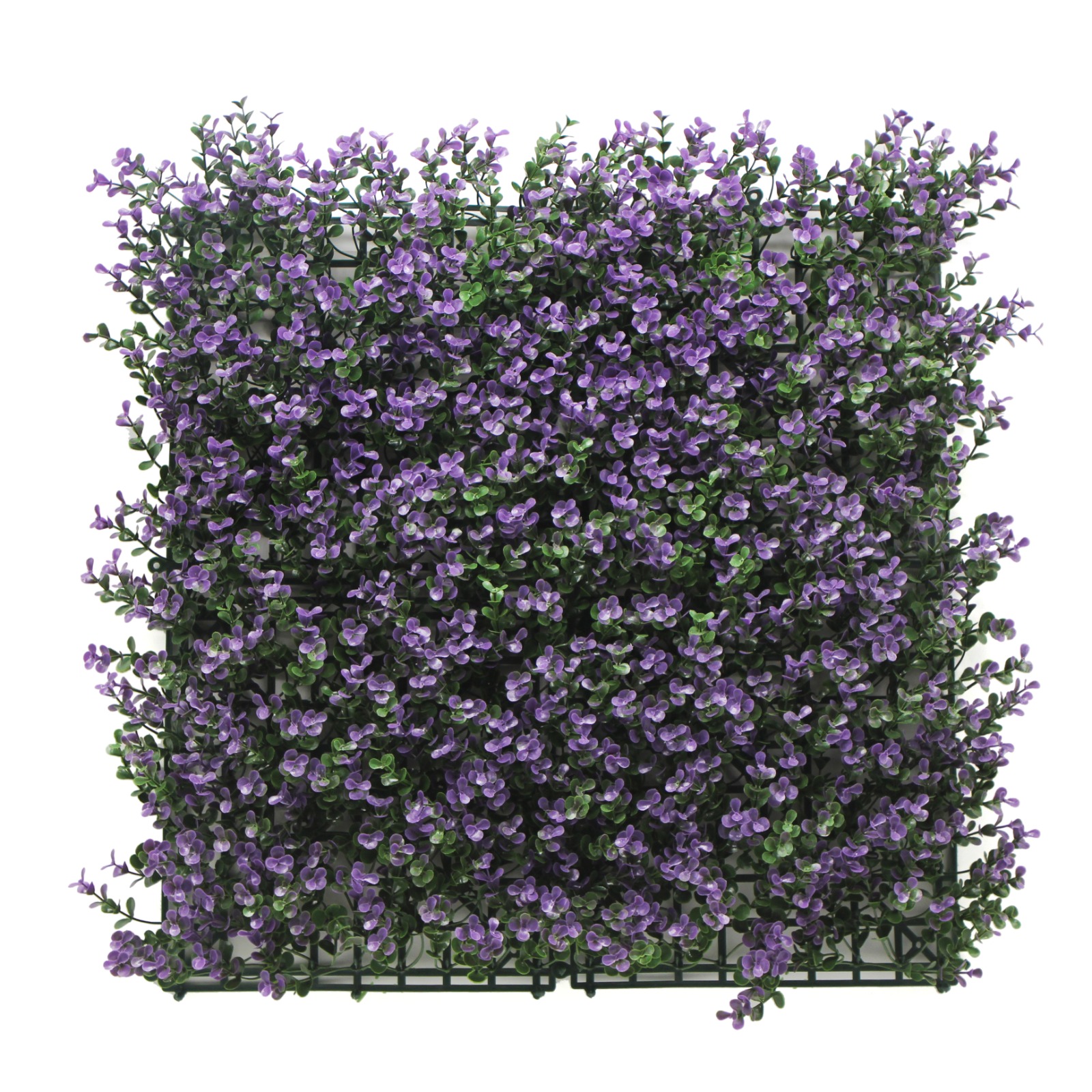 Wall Grass - BUXUS (PURPLE Pack of 6  Rs:5700/-